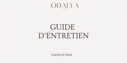 Guide d'entretien