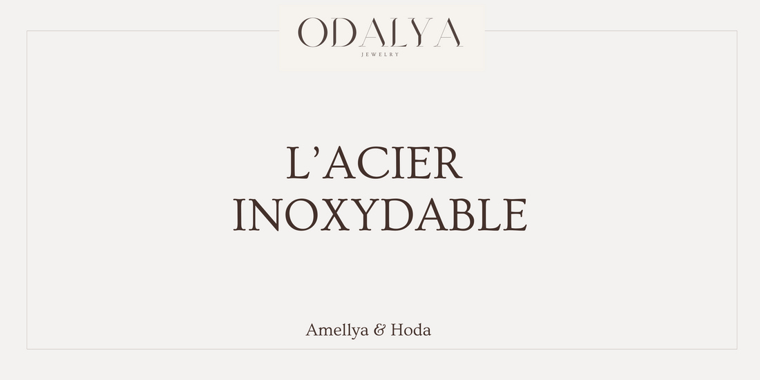 L'acier inoxydable